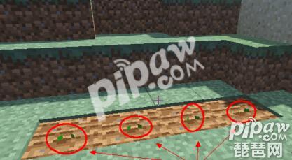 我的世界南瓜怎么种 南瓜种植攻略介绍