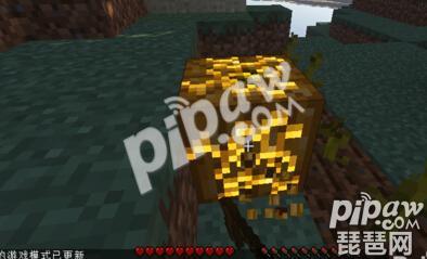 我的世界南瓜怎么种 南瓜种植攻略介绍