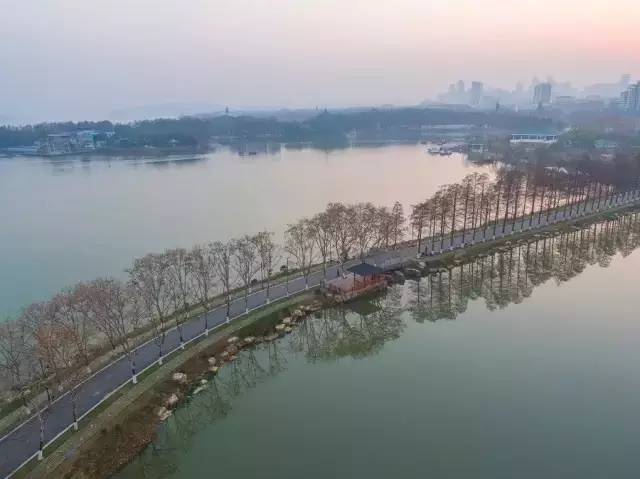 有变化！2017武汉马拉松路线最新曝光！会经过你家门口吗？