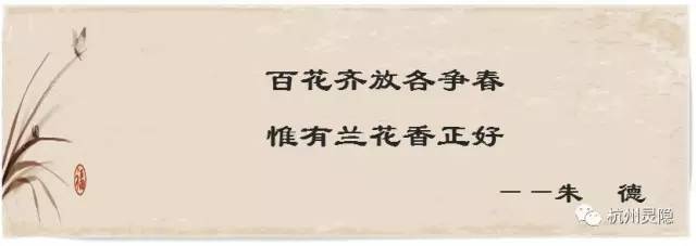 杭州市市花是什么花（浙江省花和省树分别是什么）