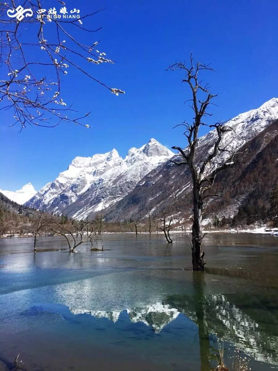 春色撩无边，一梦入千年·四姑娘山