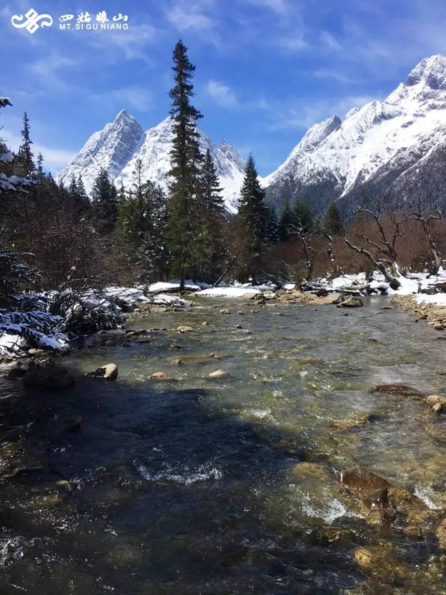 春色撩无边，一梦入千年·四姑娘山