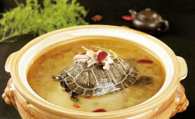 草龟炖汤的做法大全(香滑鲜美，一碗草龟炖汤的完美秘诀)