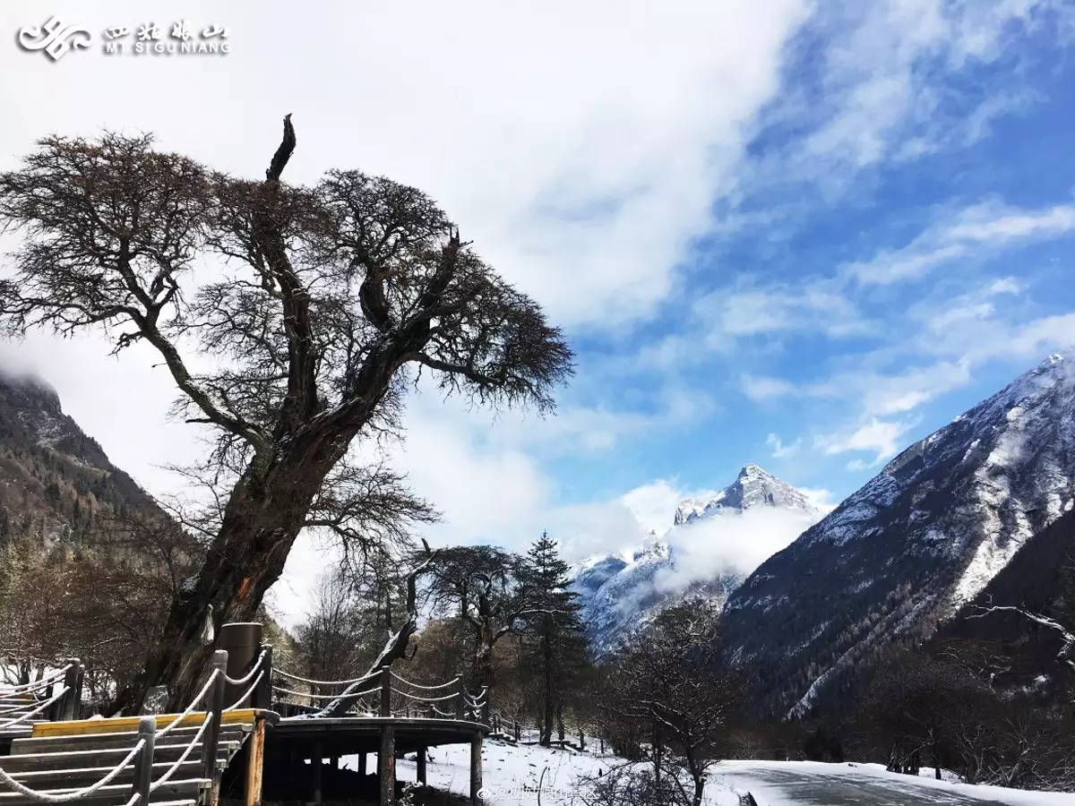 春色撩无边，一梦入千年·四姑娘山