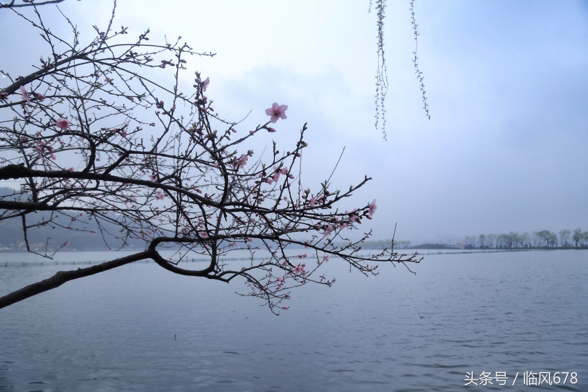 诗意江南，烟雨西湖