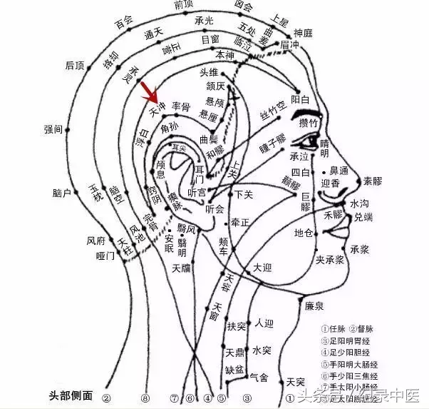 纪录来稿|耳下第一穴——天容穴归经