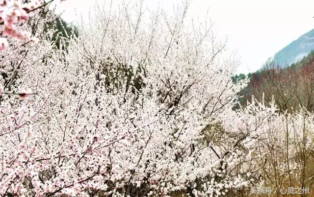 中北大学避暑技巧(原来中北大学附近有这么多好玩的地方，假期一定要去看看！)