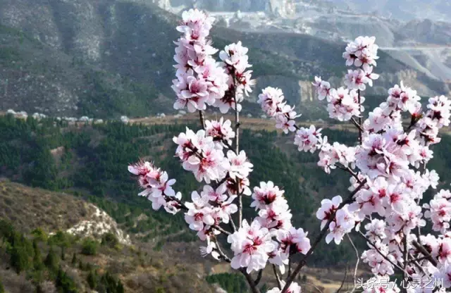 中北大学避暑技巧(原来中北大学附近有这么多好玩的地方，假期一定要去看看！)