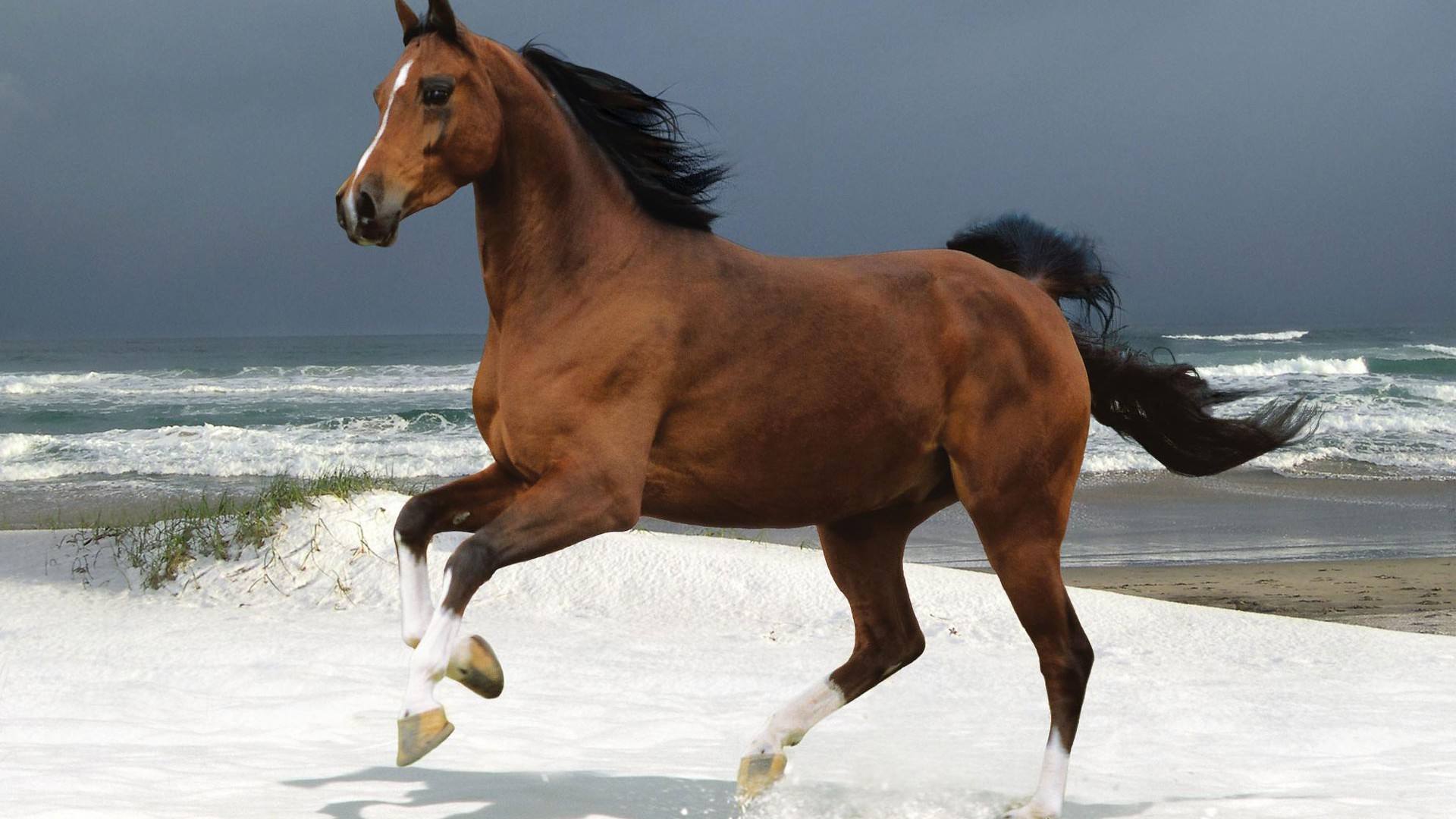 性格霸气却不霸道,一生都有贵人鼎力相助的3大生肖