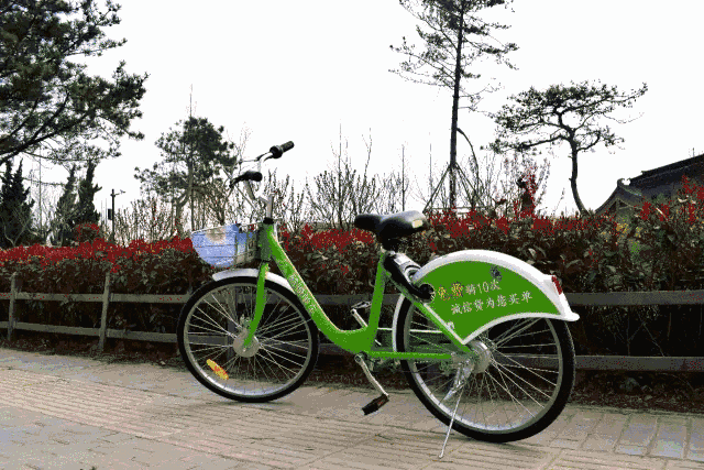 酷骑单车怎么注册呀（咸阳一下来了2种共享单车）