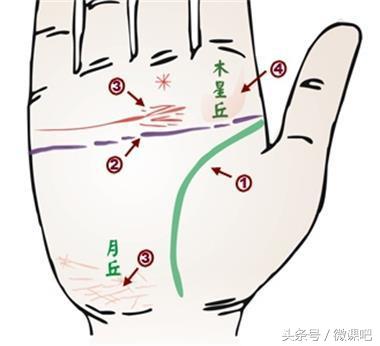 手中这些位置，看一个人的金钱运势（2）