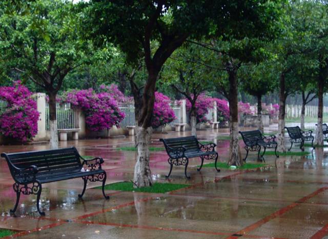 4所名校杀入昆明 99班“超级中学”现身！一大波重大教育利好砸向你