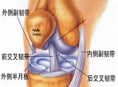 足球比赛为什么不能戴护膝(想踢球？请先保护好你的膝盖！)