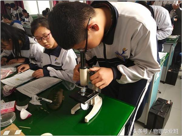 这些细胞像水晶！光学显微镜下的洋葱表皮（中考物理光学应用）