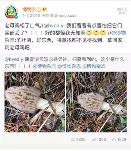 长寿花为什么致癌（毒花毒草大盘点爱花须谨慎）