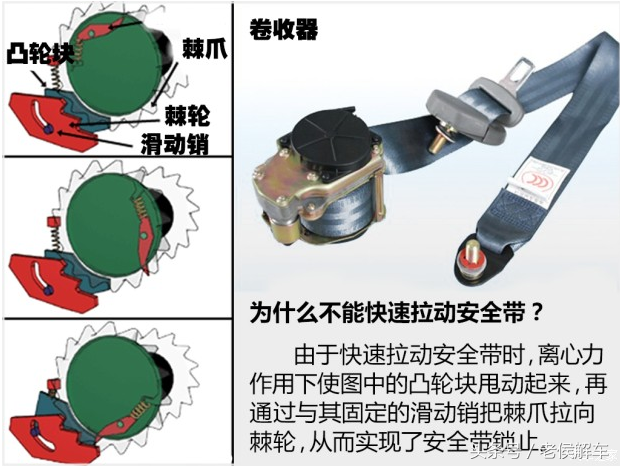 汽车安全带的结构与作用原理