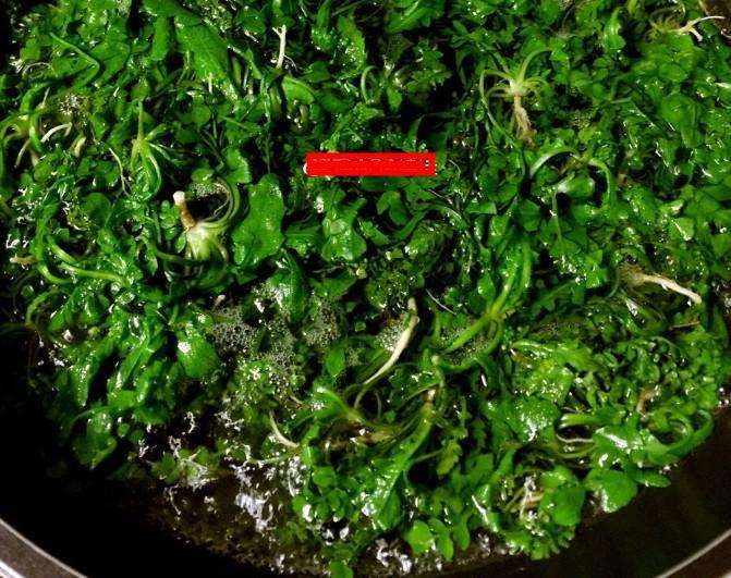 春季必备野菜：春风十里，不如荠菜半斤！荠菜水饺，搭配这个蘸料