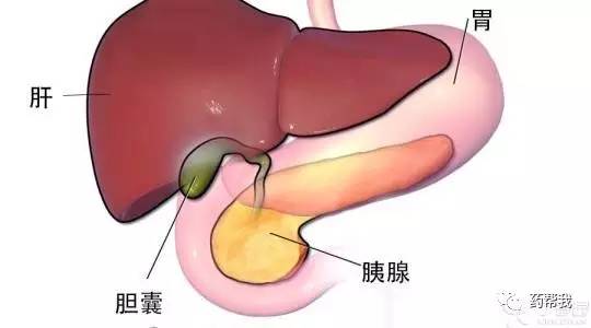 最近常感不明原因胸痛，是心脏有问题吗？还是什么原因？