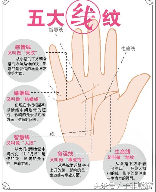 十大招财手相图解（富贵命格人人向往）