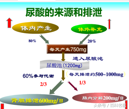 肾功能还不好怎么看？教你4招看懂肾功能化验单！