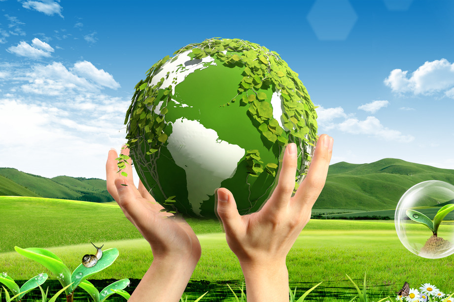 世界地球日爱护环境警句,参与绿色行动保护美丽家园