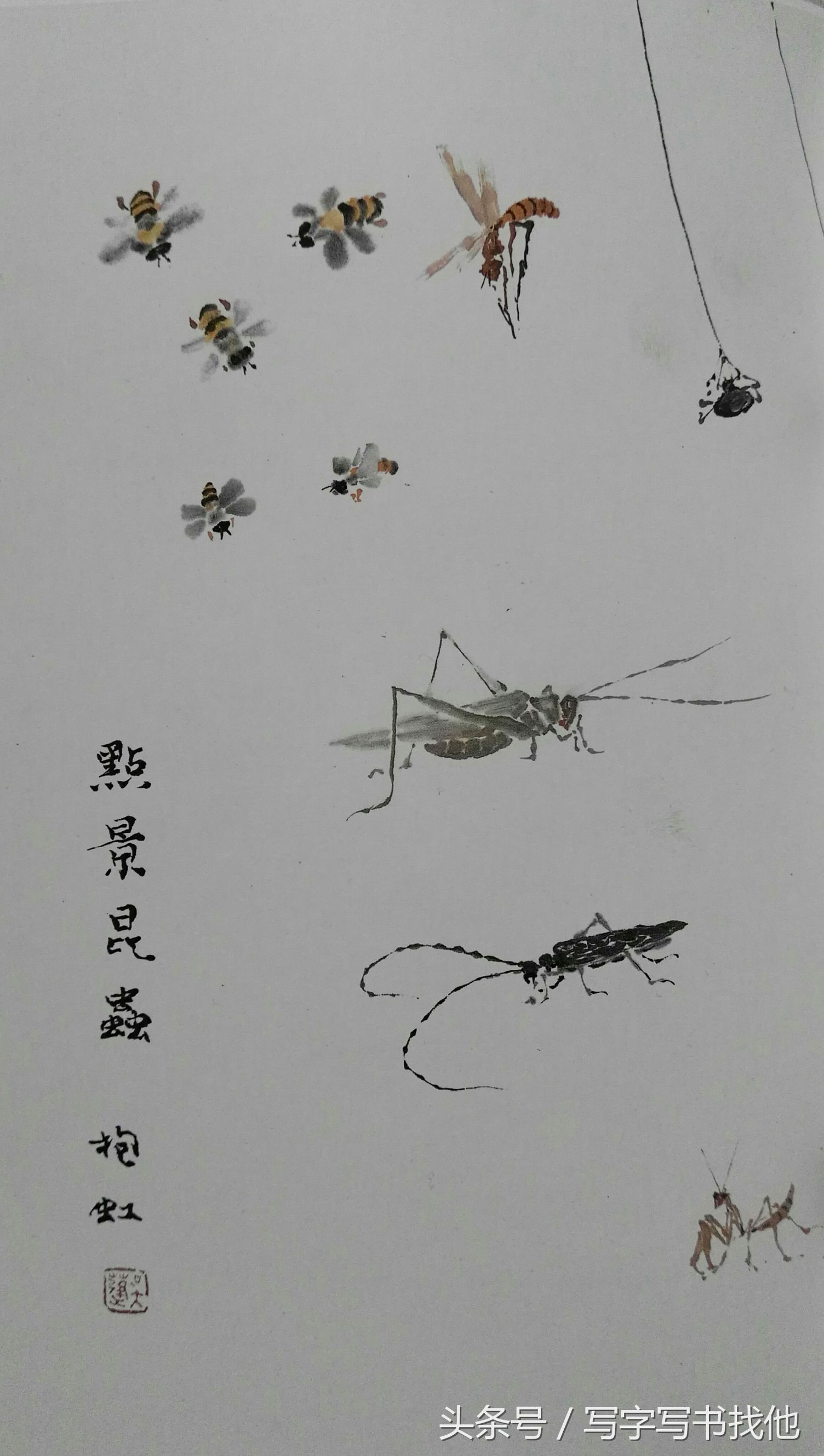 蝴蝶飞蛾蜻蜓蚱蜢螳螂蝉等怎么画？根下苔草怎么点缀