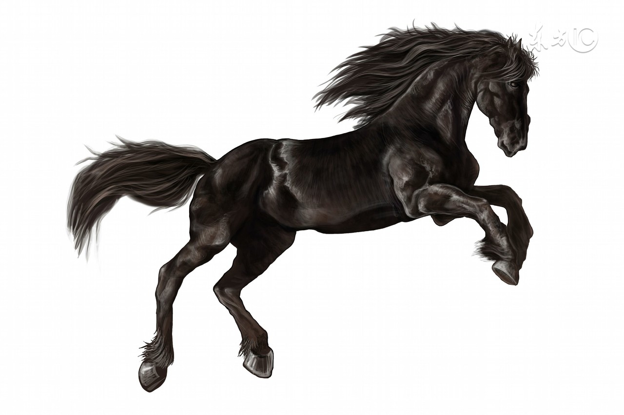 七月到九月出生的属马人,一生富贵