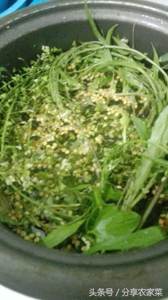 薺菜花煮雞蛋,薺菜花煮雞蛋的功效與作用