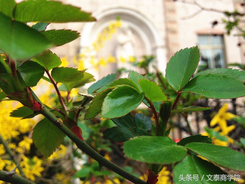 官方资讯｜8月31日山东大学2018MBA提前面试第二批