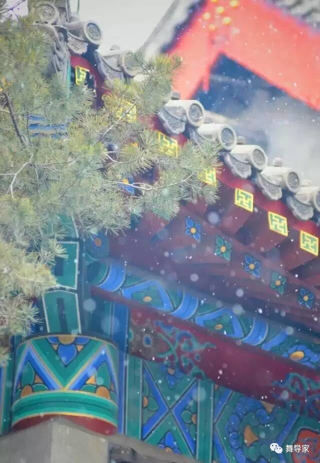 艺考现场｜中央民族大学舞蹈学院