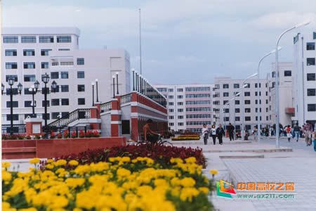 2017哈尔滨市大学排名 以及往年（理科）最低录取分数线