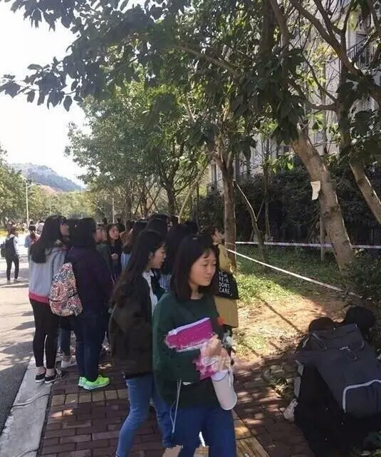 大学校园里流浪狗生宝宝，学生们的做法，让人感受到世界真情！