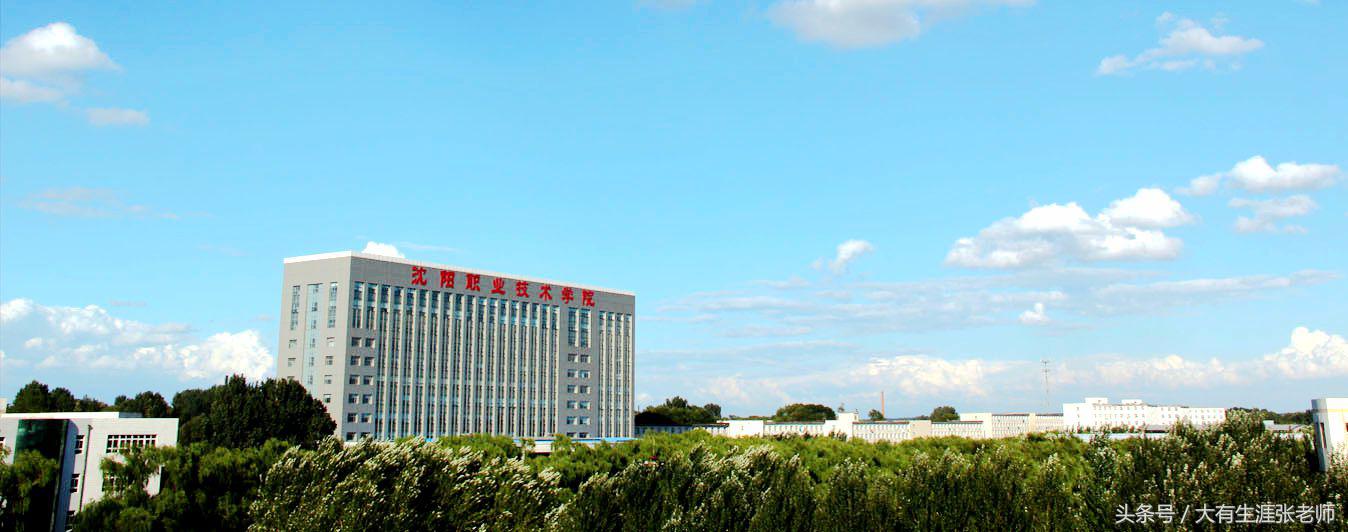 沈阳职业技术学院——“计算机应用与软件技术” 培养基地