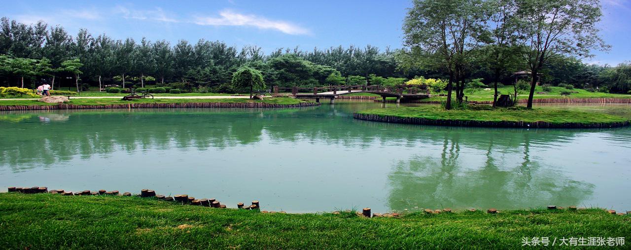 沈阳职业技术学院——“计算机应用与软件技术” 培养基地