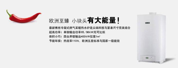燃氣壁掛爐哪個牌子好 世界燃氣壁掛爐十大品牌排名