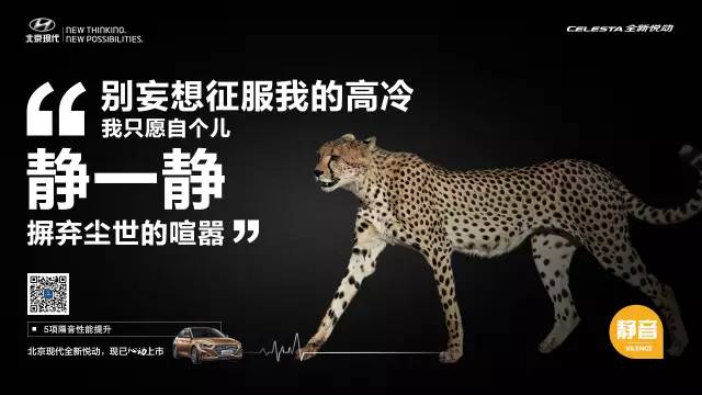 配置篇丨面对悦动你有什么话说？