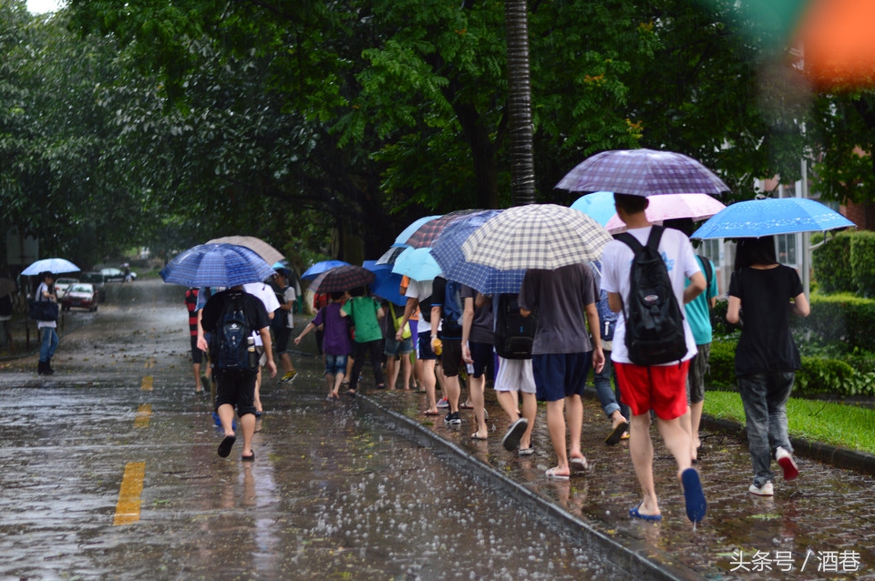 做梦梦见下大雨（谈谈不同人群梦见下雨的征兆）