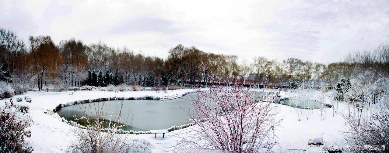 沈阳职业技术学院——“计算机应用与软件技术” 培养基地