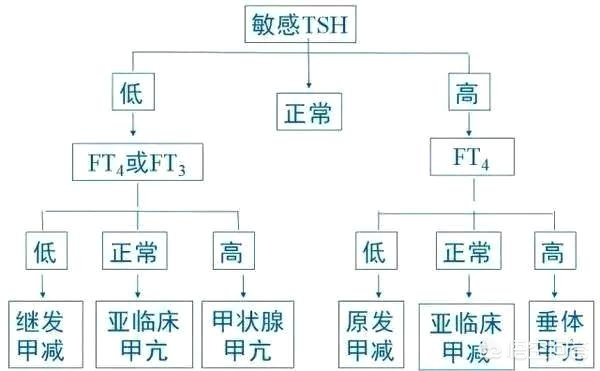 手把手带您解析五项甲状腺功能、三项甲状腺相关抗体含义