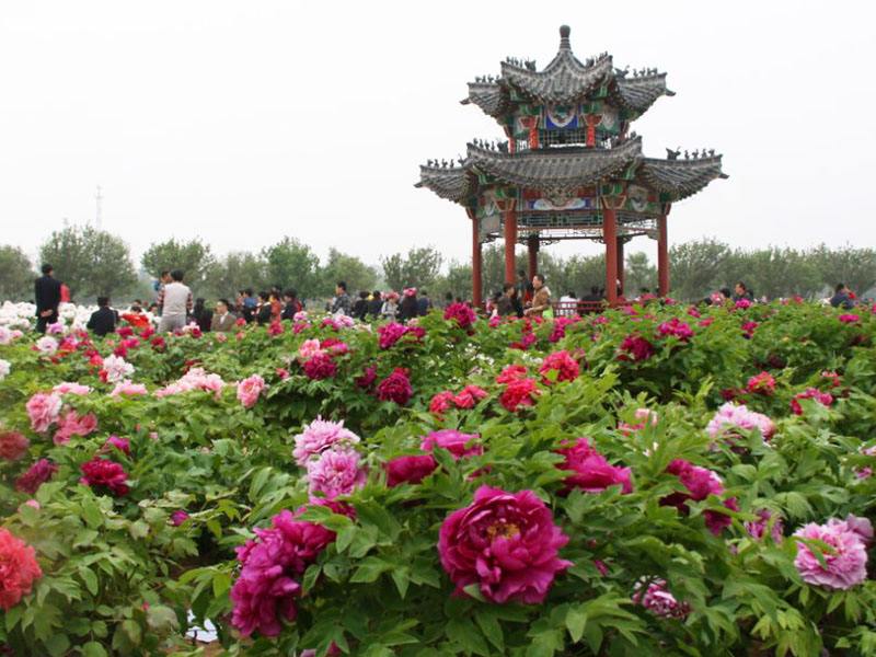 山东菏泽最著名的八大旅游景点,你有去过吗?