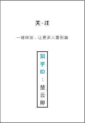 年少时不懂，经历世事后才恍然大悟的诗词文章