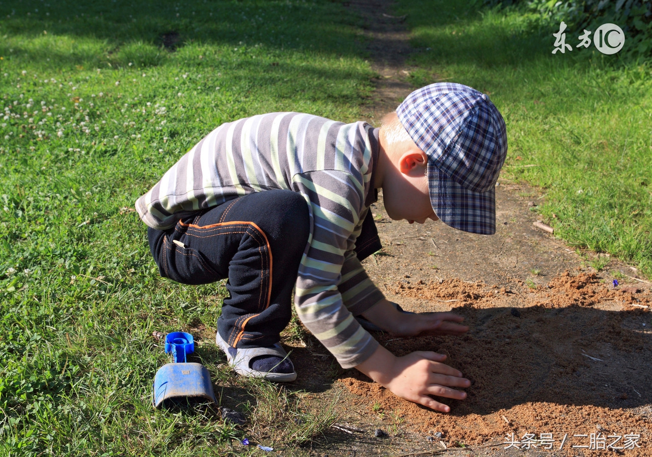 20次专注力训练课能解决孩子粗心磨蹭问题？把孩子还给大自然吧