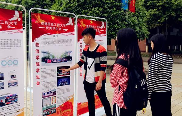 青春成都：我的青春我的团 表彰先进树典型 宣誓立志勇担当