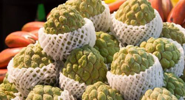 释迦没熟能吃吗 释迦果没熟怎么办