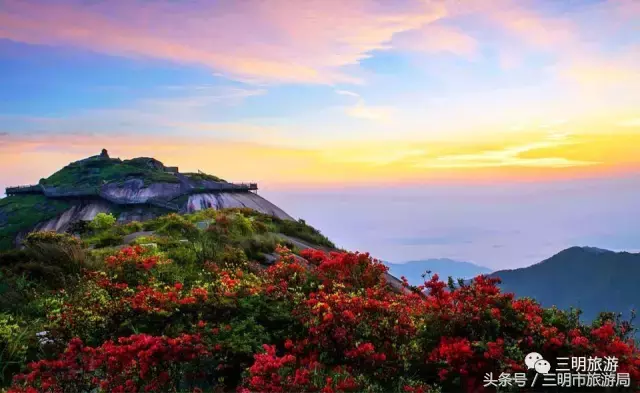 三明这么多景区门票免费！半价！就等你来