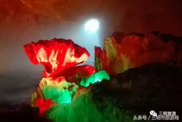 三明这么多景区门票免费！半价！就等你来