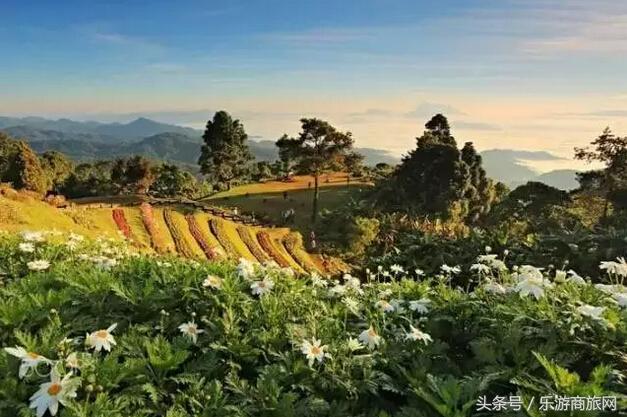 拒绝打卡旅行，清迈本地人私藏的小众清单