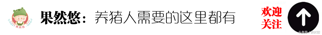 疫苗过敏应急处理：除地米外的其他治疗方案