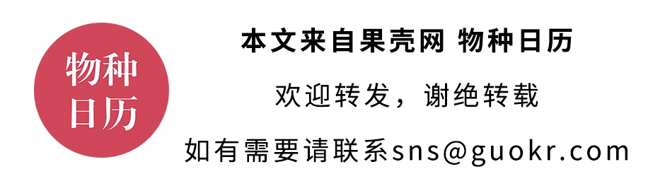 性情温和的蝠鲼，为什么被叫做“魔鬼鱼”？