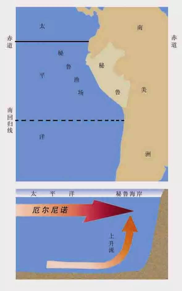 厄尔尼诺现象的详细分析